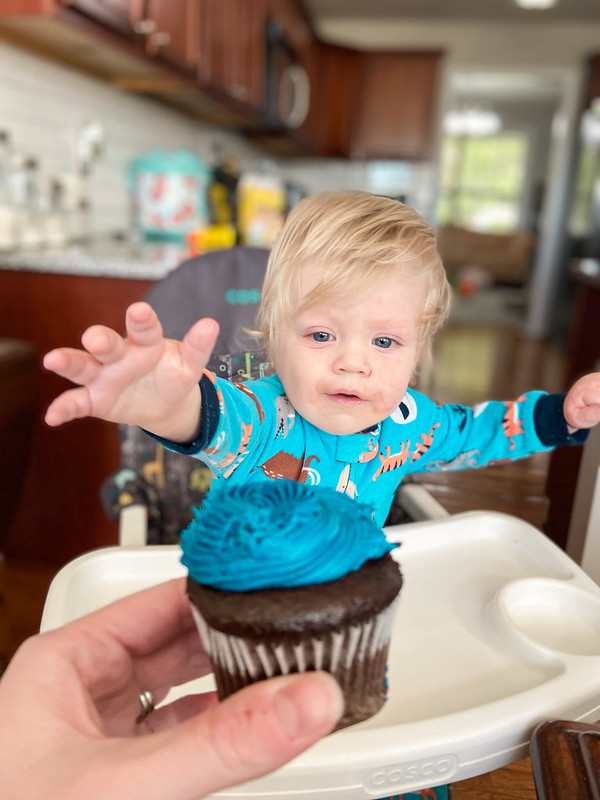 Cohen turns ONE!
