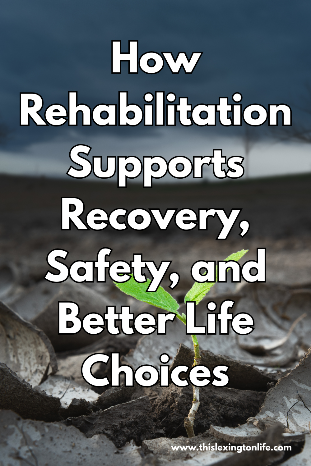 How Rehabilitation Supports Recovery, Safety, and Better Life Choices