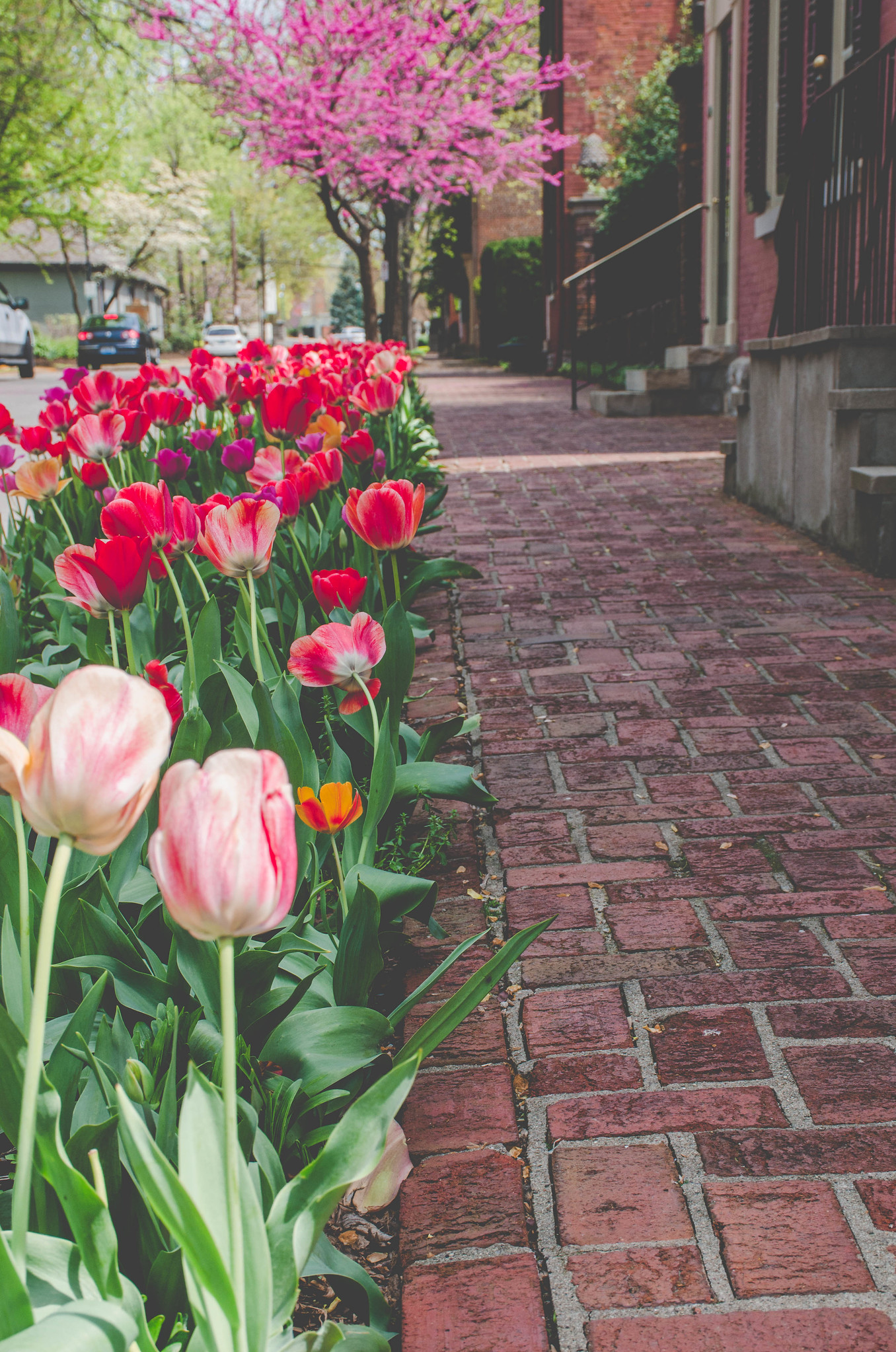 DIY Garden Ideas To Improve Your Outdoor Space