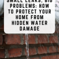 Small Leaks, Big Problems: How to Protect Your Home from Hidden Water Damage