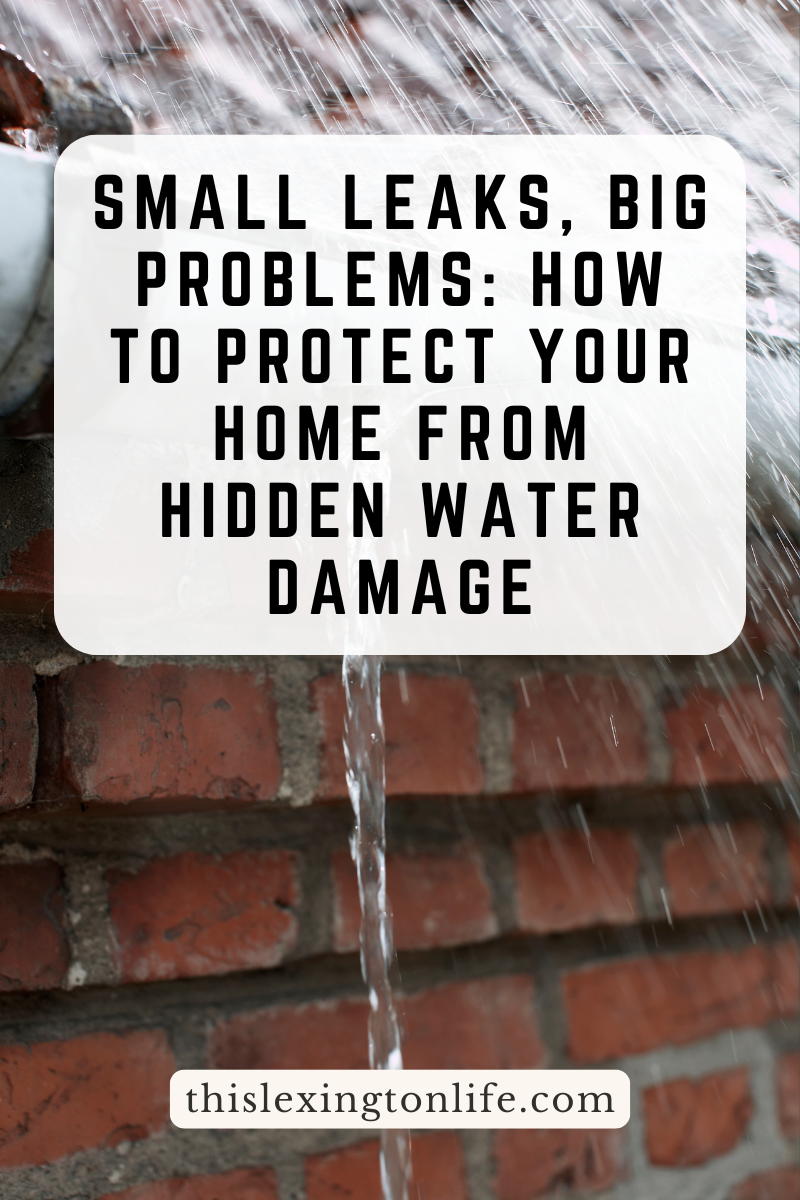Small Leaks, Big Problems: How to Protect Your Home from Hidden Water Damage