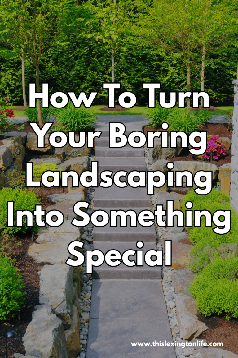 How To Turn Your Boring Landscaping Into Something Special
